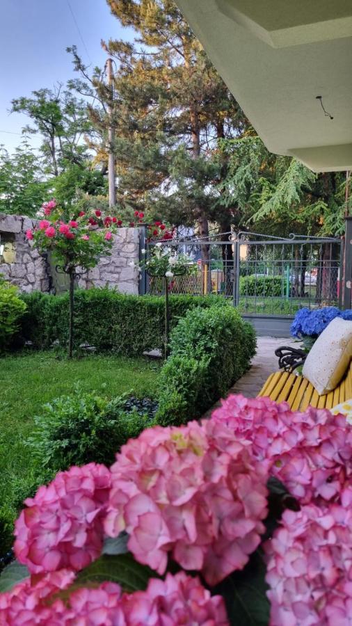 Apartman L&M Cetinje Exterior foto