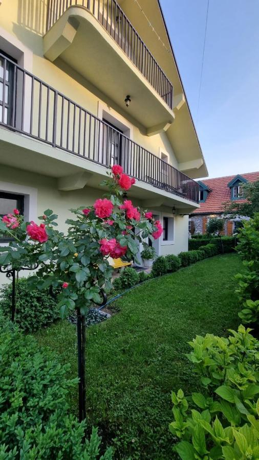 Apartman L&M Cetinje Exterior foto