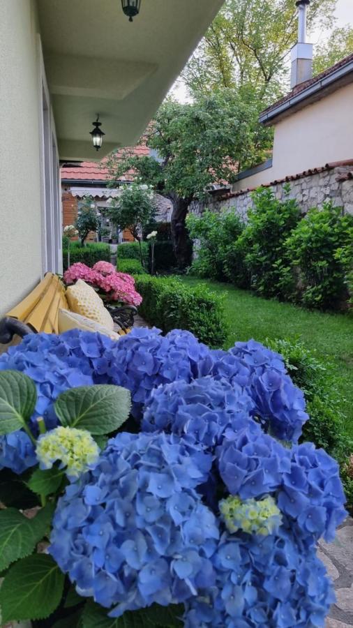 Apartman L&M Cetinje Exterior foto